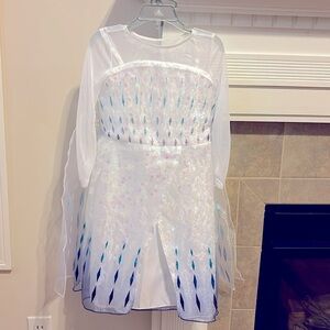 Disney Elsa Snow Queen Costumes for Girls Size 3 (XXS)
